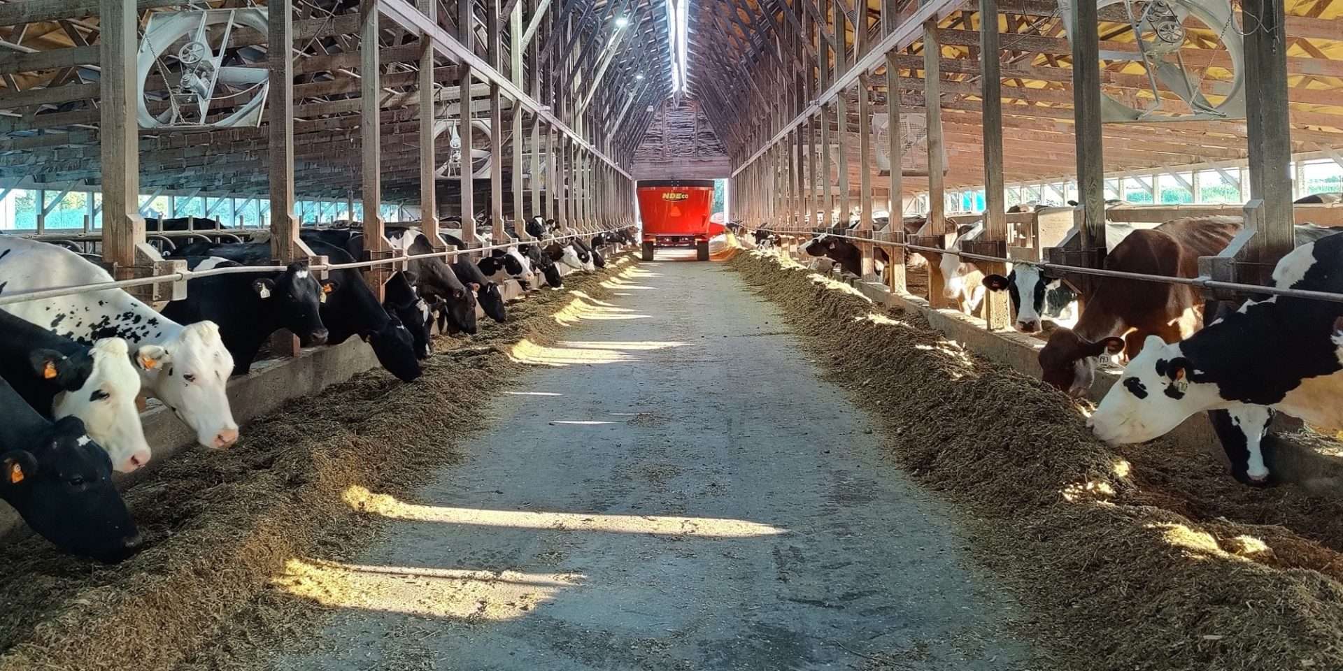 ndeco nde u700d vertical feed mixer wagon dairy